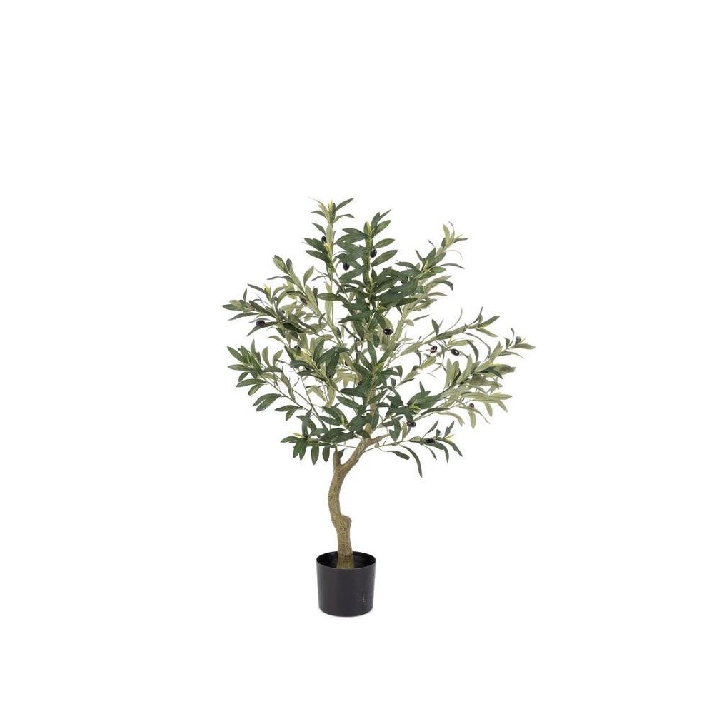 PIANTA ULIVO CON VASO H.90